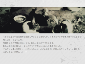 第一話「ましろの墓」　夏休み、飼育当番としてウサギ小屋の世話を任された主人公。