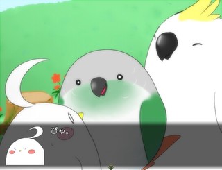 飛べば良いじゃん。のゲーム画面「一枚絵あり。鳥好きじゃなくても癒される事間違い無し？」