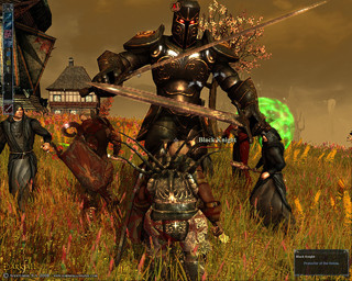 DARKFALL：UNHOLY WARSのゲーム画面「」