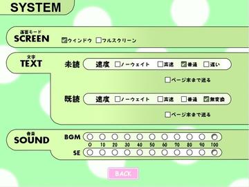 設定画面。画面設定や音量バランスの調節などができる。