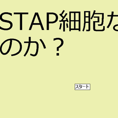 STAP細胞なのか？のイメージ