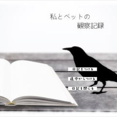 私とペットの観察記録のイメージ