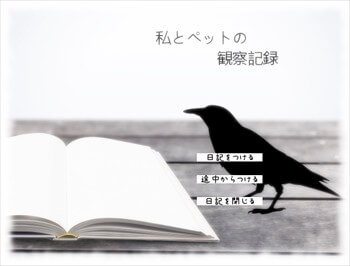 私とペットの観察記録のイメージ