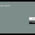 ProjectWhiteのイメージ