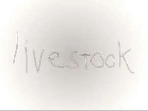 livestockのイメージ