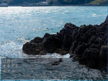 釣り場の画像（朝の磯）