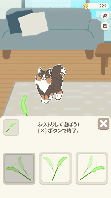 一緒にねこじゃらしで遊んでいるところです。