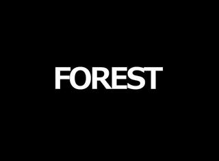 FORESTのゲーム画面「ゲーム画面」