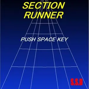 SECTION RUNNERのイメージ