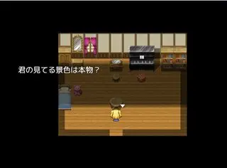 Diaryのゲーム画面「誰かの声が聞こえ、真実を探すことに・・・・。」