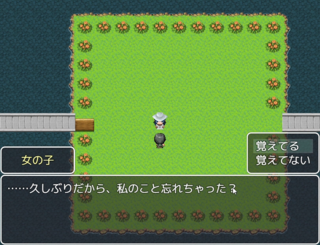 彼方の川渡りのゲーム画面「女の子の質問に答える」