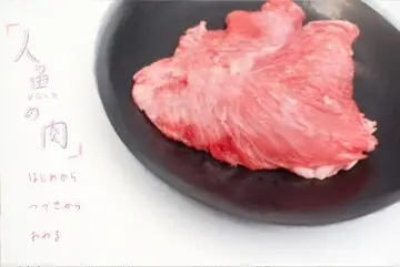 人魚の肉のイメージ