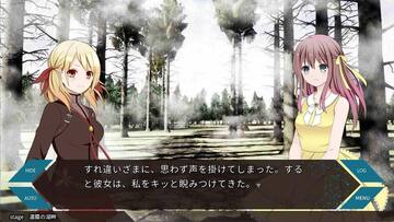 重厚なストーリーが紡がれるノベルパート。