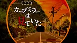 カーブミラーは見ていたのイメージ
