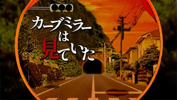 カーブミラーは見ていたのイメージ