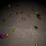 d.w.bのイメージ