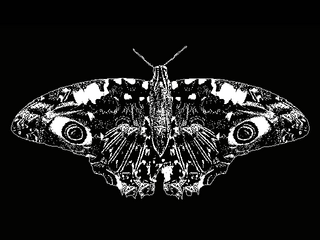 蝶を想え、とそれはささやくのゲーム画面「」