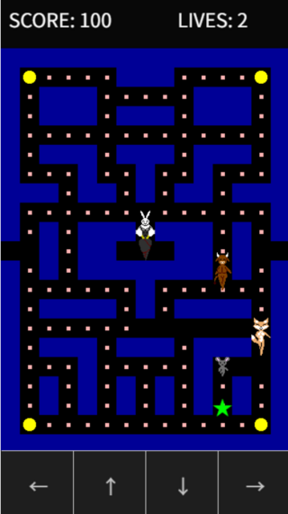 ショータ・ザ・エスケープのゲーム画面「敵から逃げてアイテムを集めろ！」