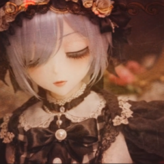 迷イ少年儚ユメのイメージ