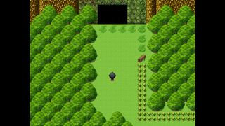 僕と不思議な洞窟の冒険のゲーム画面「裏山に洞窟があるというが……?」