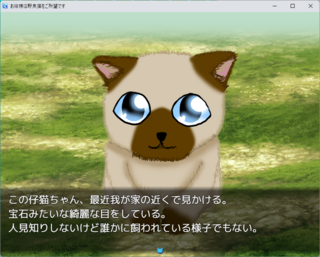 お嬢様は野良猫をご所望ですのゲーム画面「サラ家の屋敷周辺に出没する仔猫」