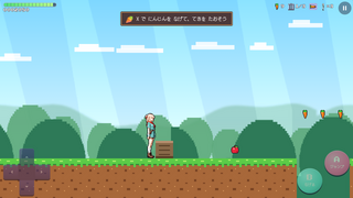 りんかのもふもふアイランドのゲーム画面「はじまりの森。にんじんを投げて敵をたおそう」