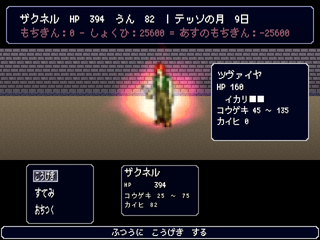 ようこそ　リスキーアリーナへのゲーム画面「バトル画面」